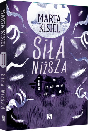 Siła niższa