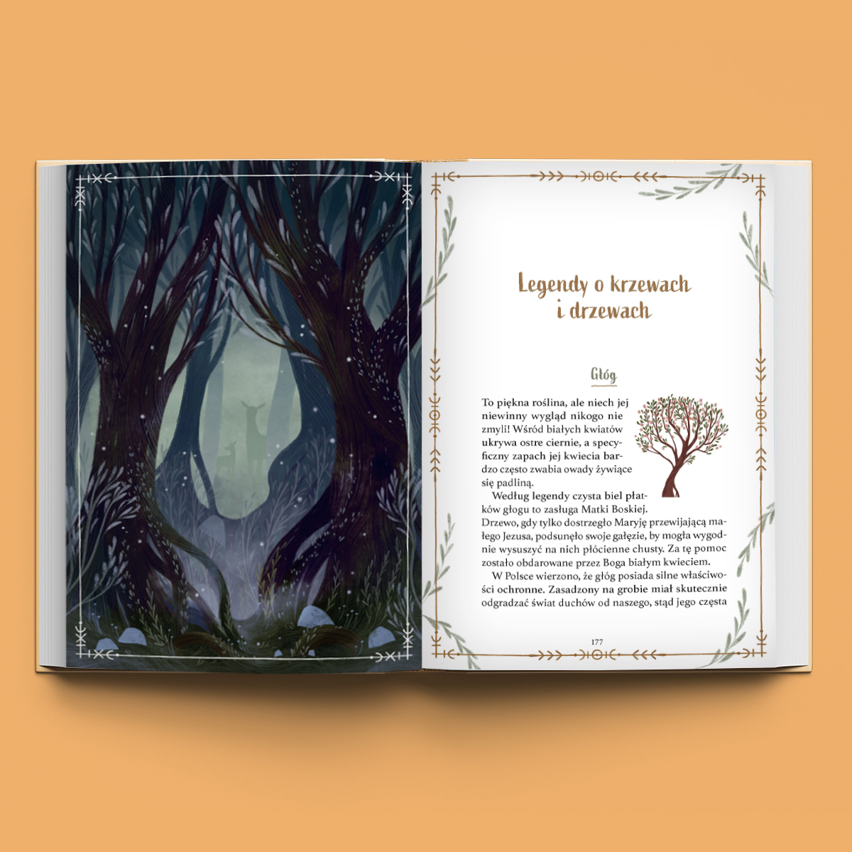 Urocznik (edycja limitowana) - obrazek 4