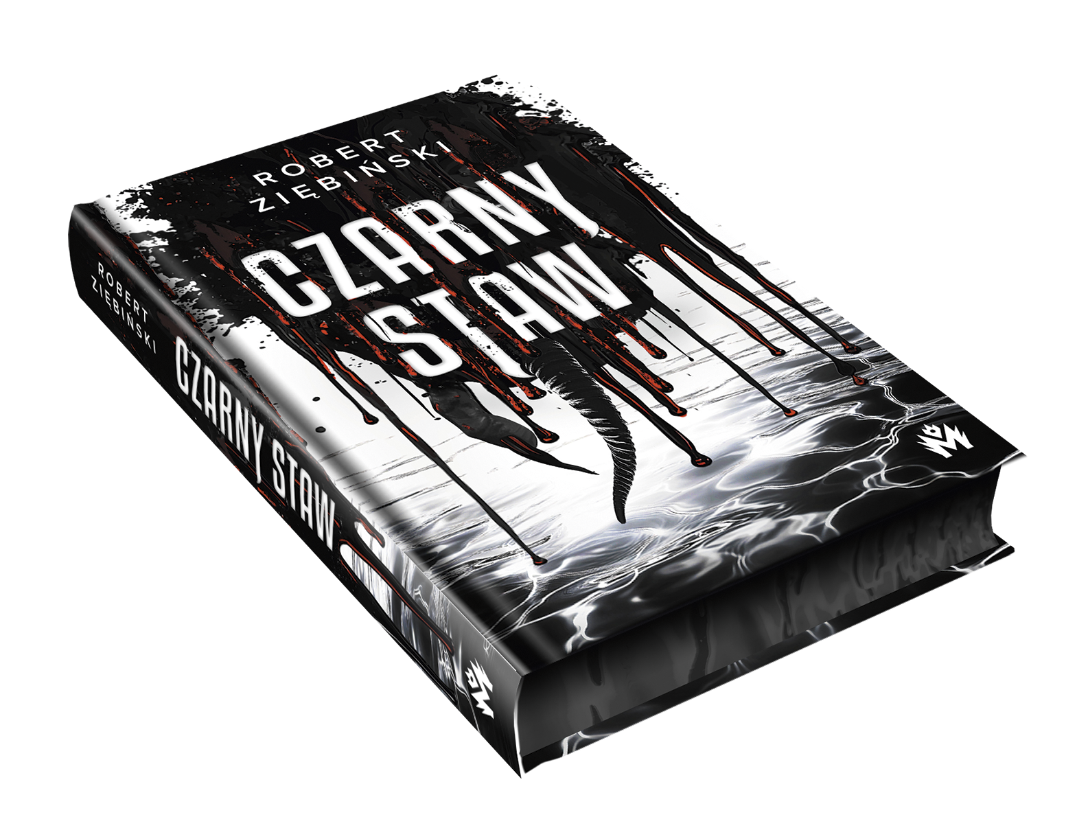 Czarny Staw - obrazek 3