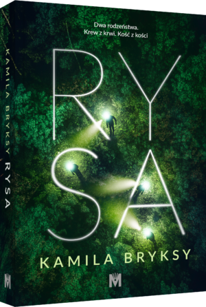 Rysa