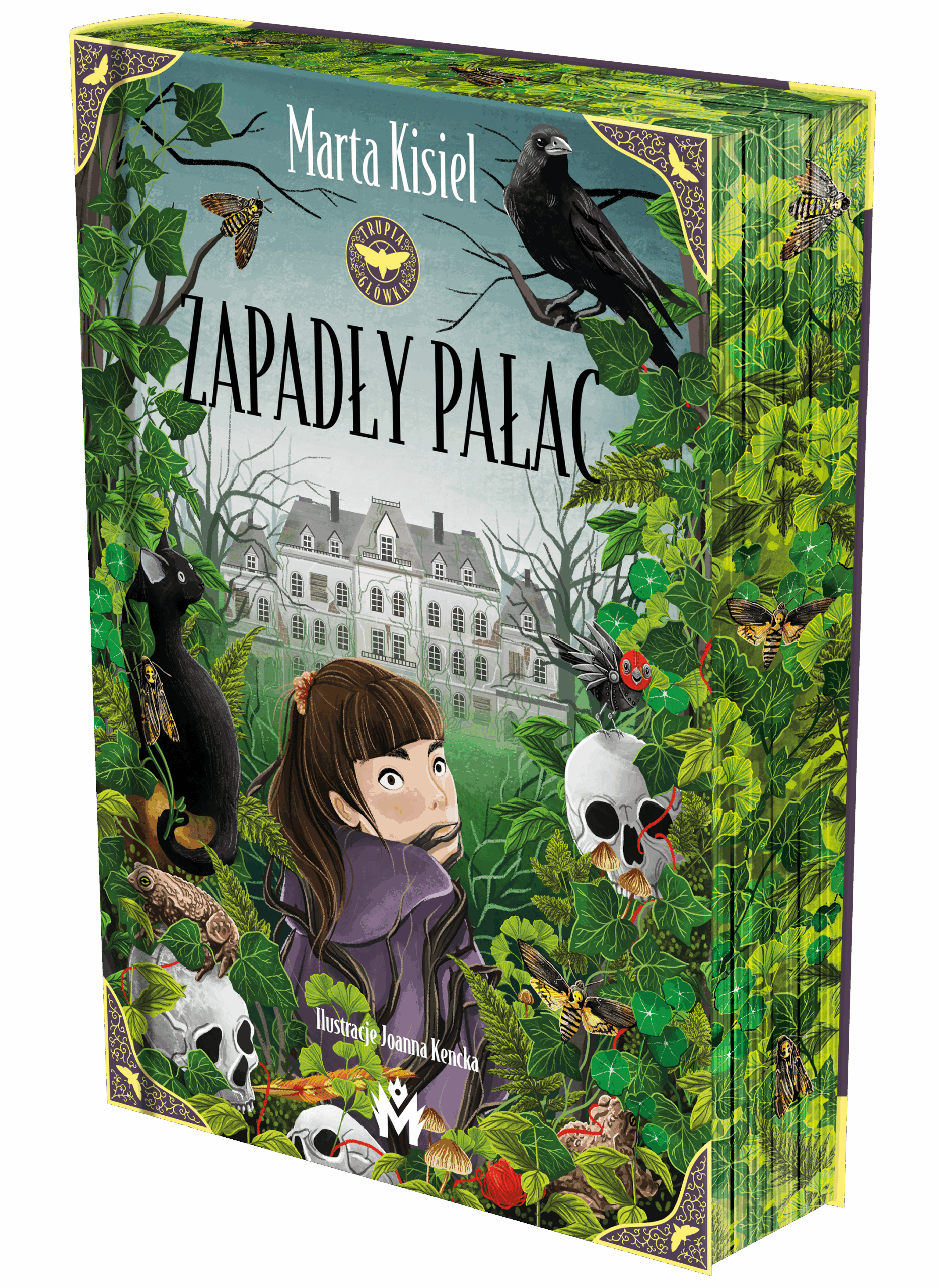 Zapadły pałac - obrazek 2
