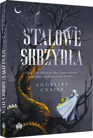 Stalowe skrzydła